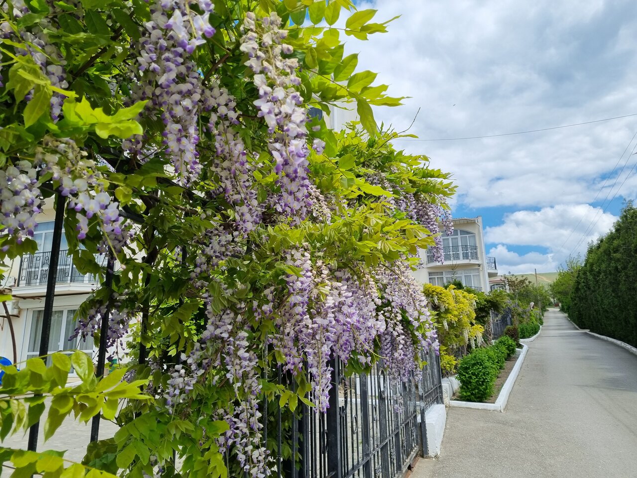 Гостиница Арго Коктебель-73