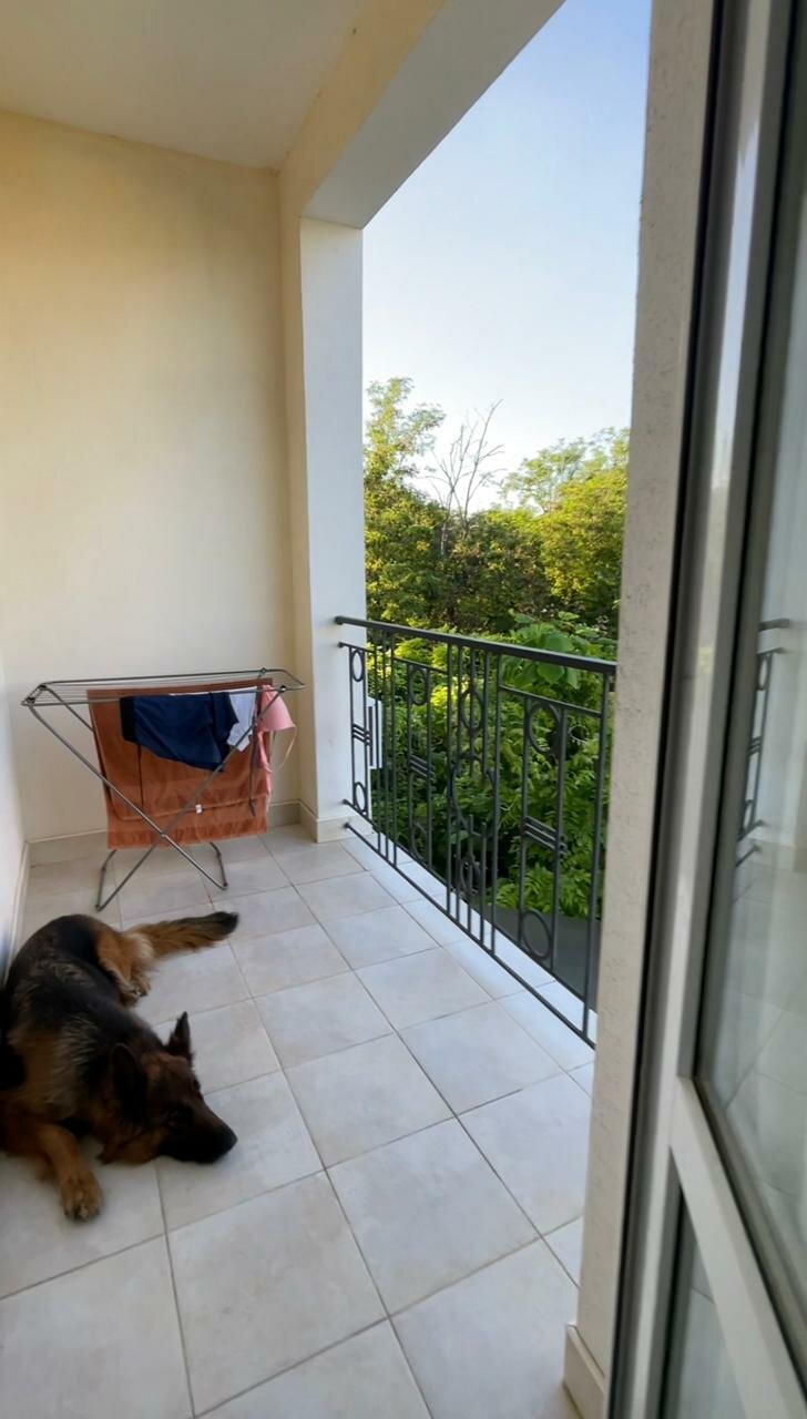 Гостиница Арго Коктебель-46