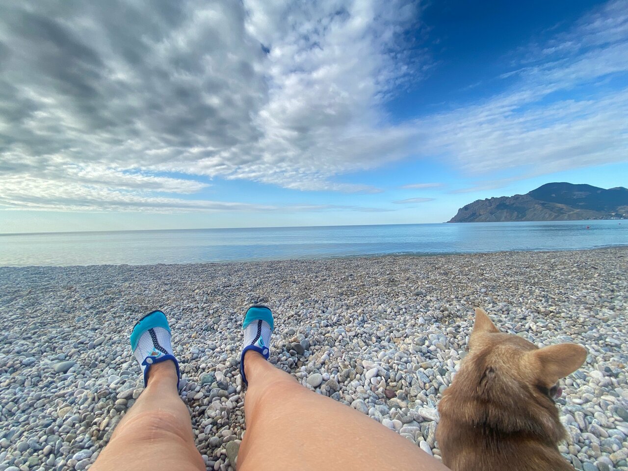 Гостиница Арго Коктебель-129