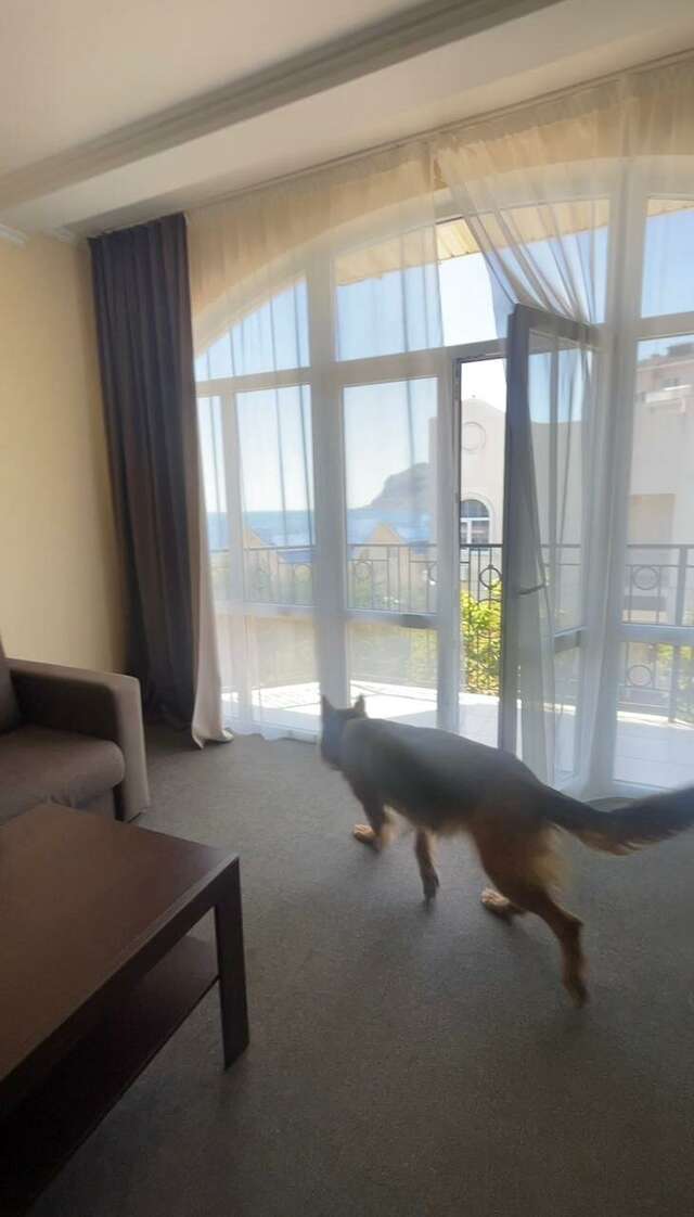 Гостиница Арго Коктебель-48