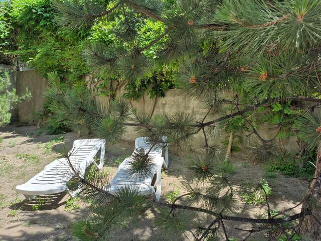 Гостиница Арго Коктебель-20