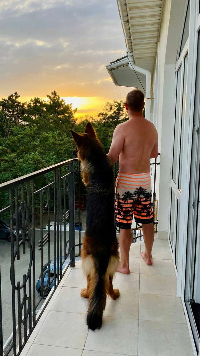 Гостиница Арго Коктебель-51